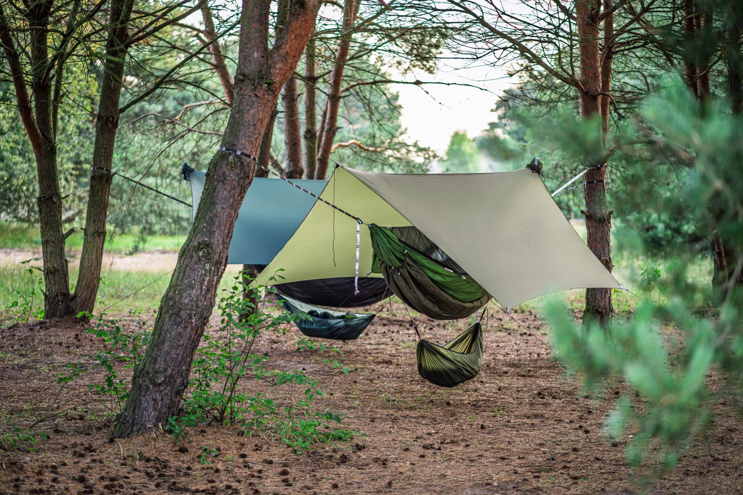 Lesovik Draka Treetop Green hamac cu plasa tantari
