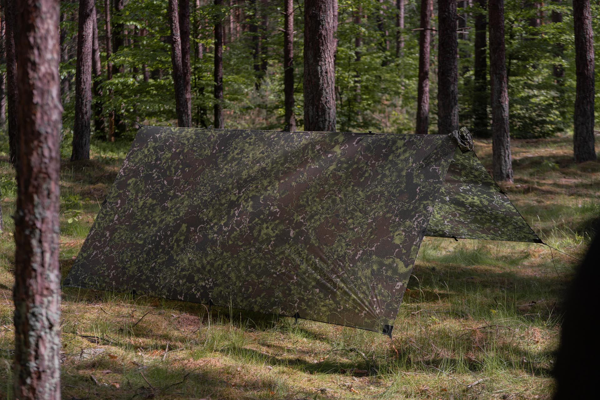 Lesovik Groza Farba F1 Frondlair tarp 300x300