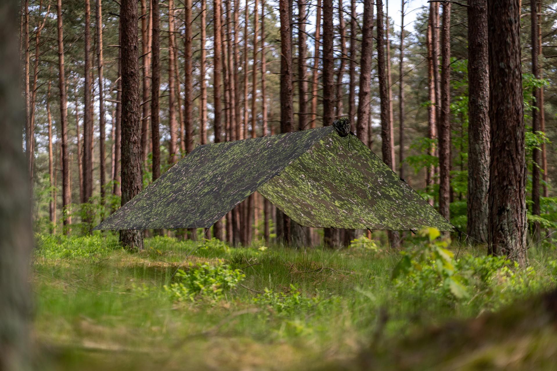 Lesovik Groza Farba F1 Frondlair tarp 300x300