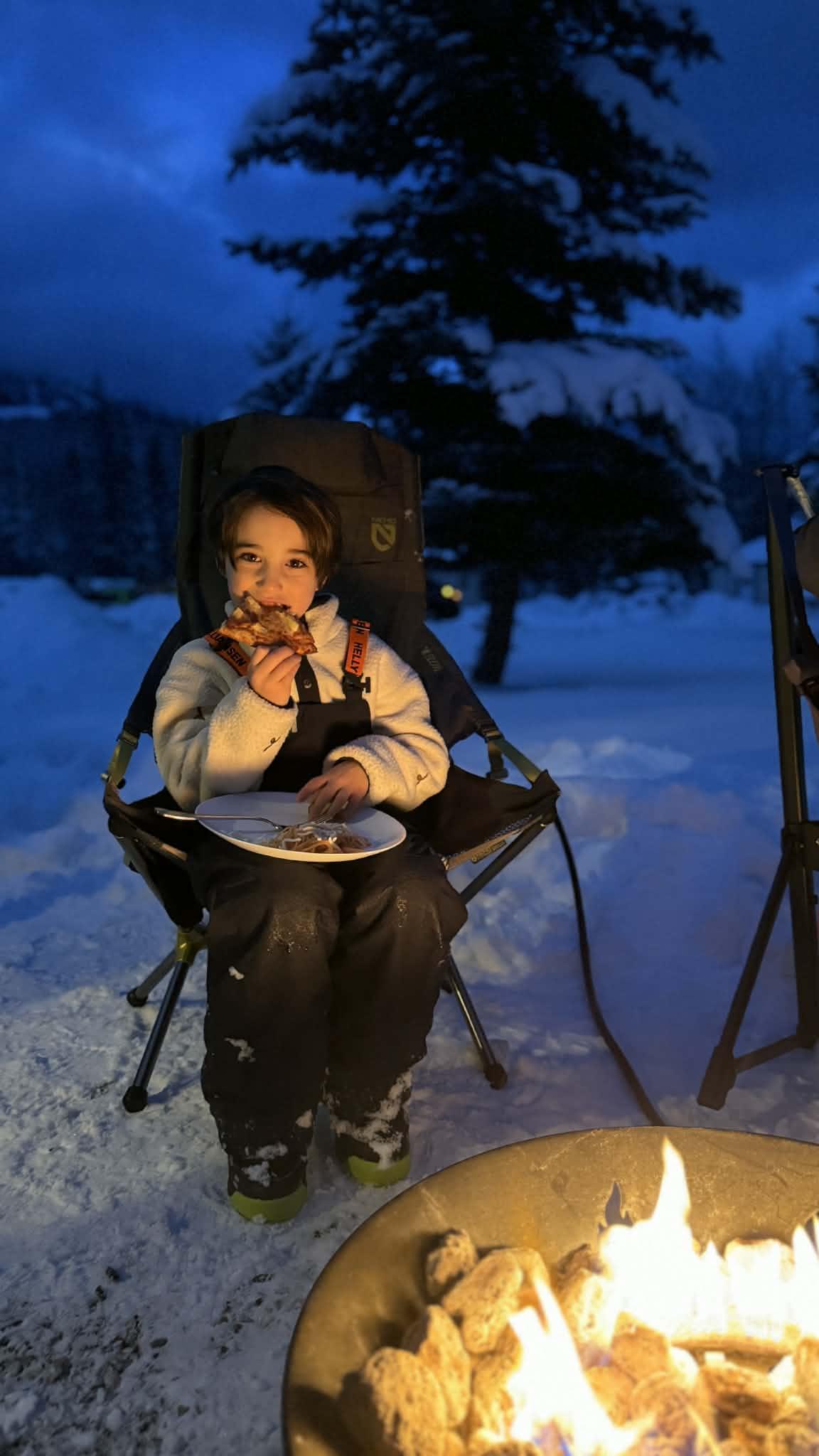 Nemo Satellite scaun camping reclinabil gri Quicksilver