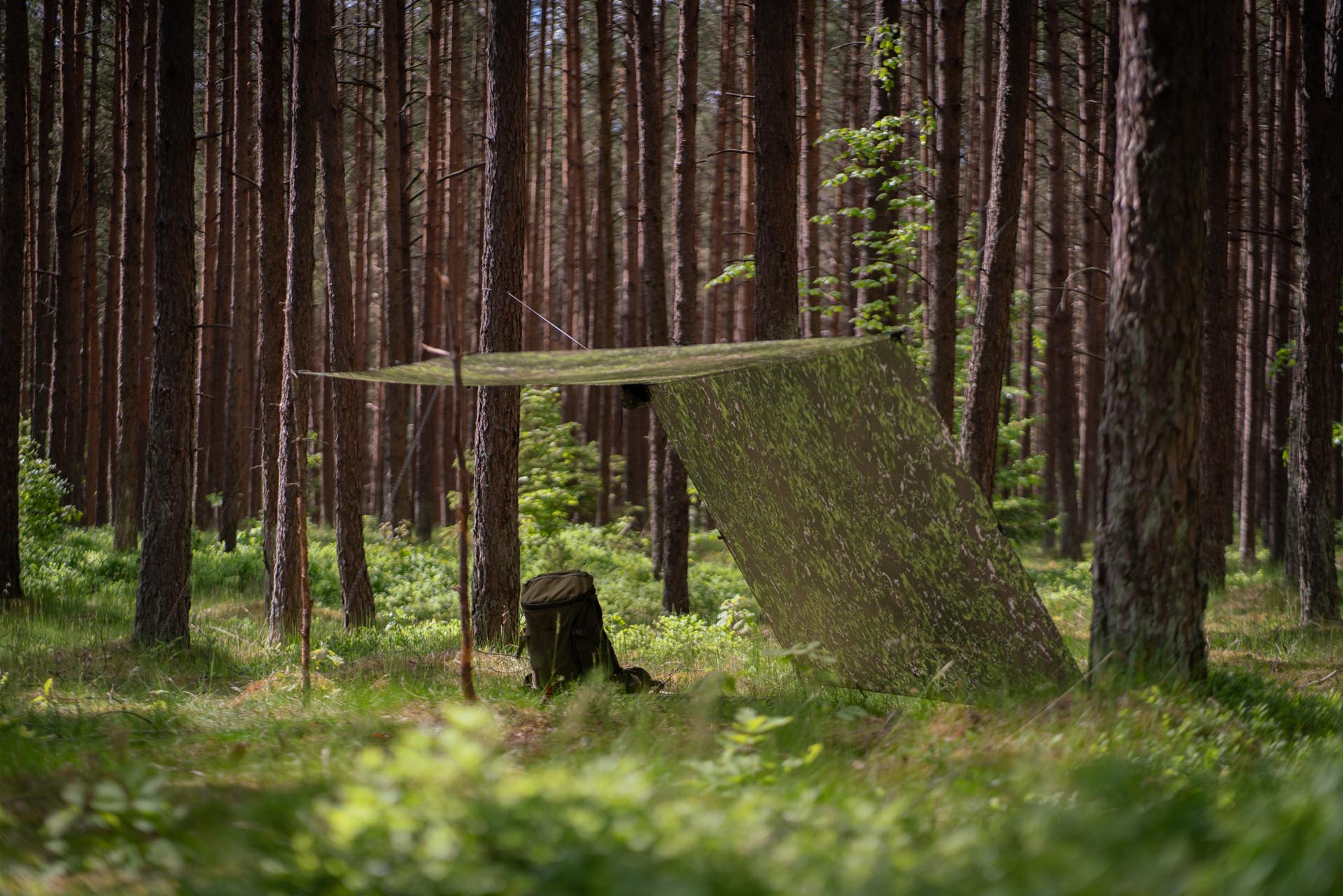 Lesovik Groza Farba F1 Frondlair tarp 300x300