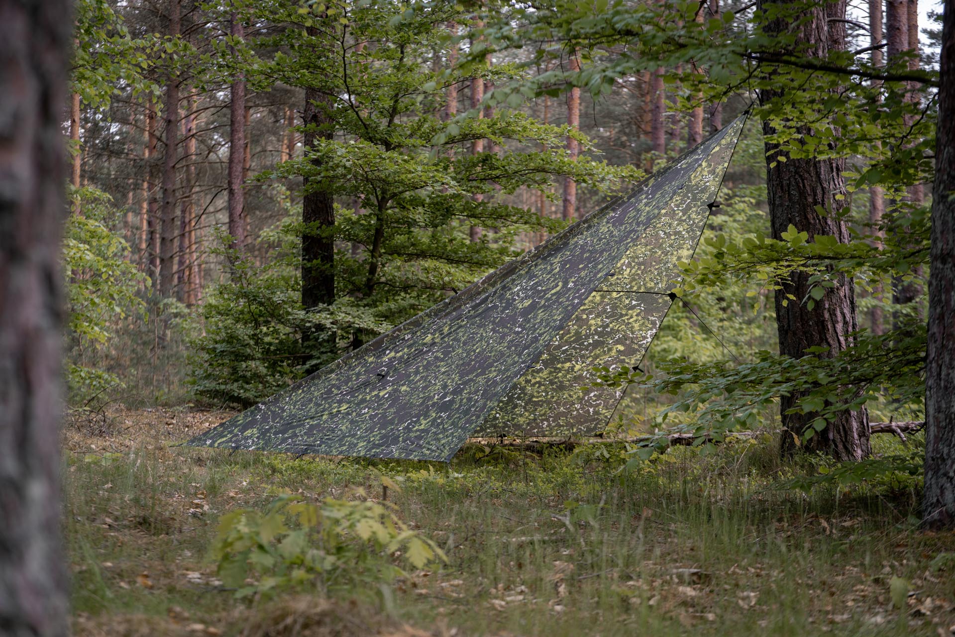 Lesovik Groza Farba F1 Frondlair tarp 300x300