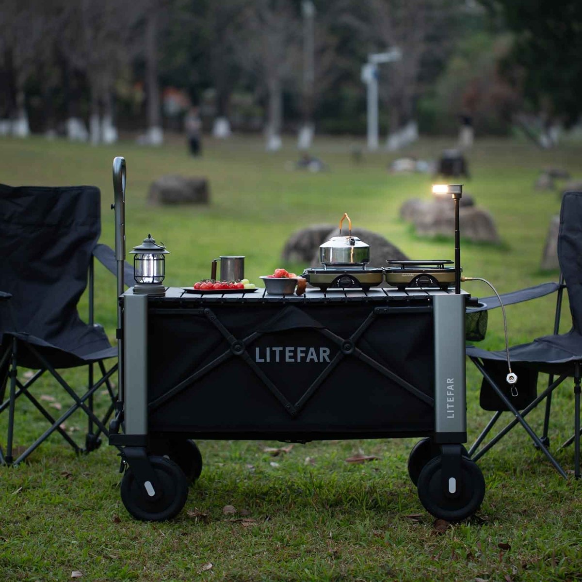 LITEFAR Orion Smart Wagon Classic carucior negru