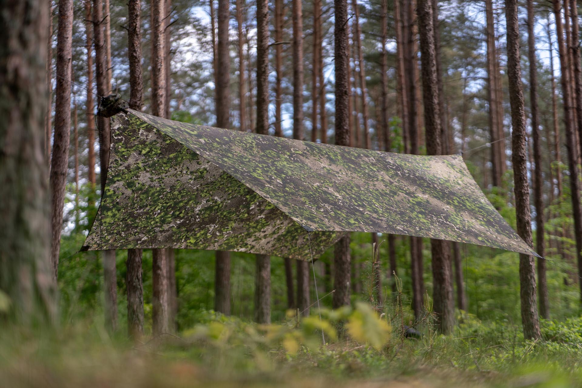 Lesovik HEKSA FARBA F2 Terskog prelată 500 g