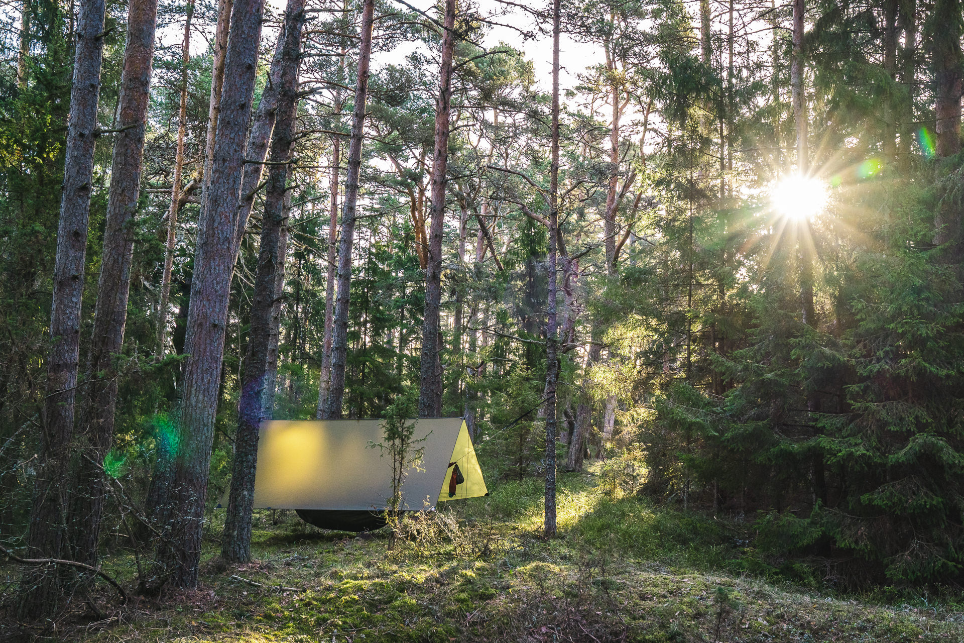Lesovik Groza Mayfly Green tarp hamac 300x300 6000 mm
