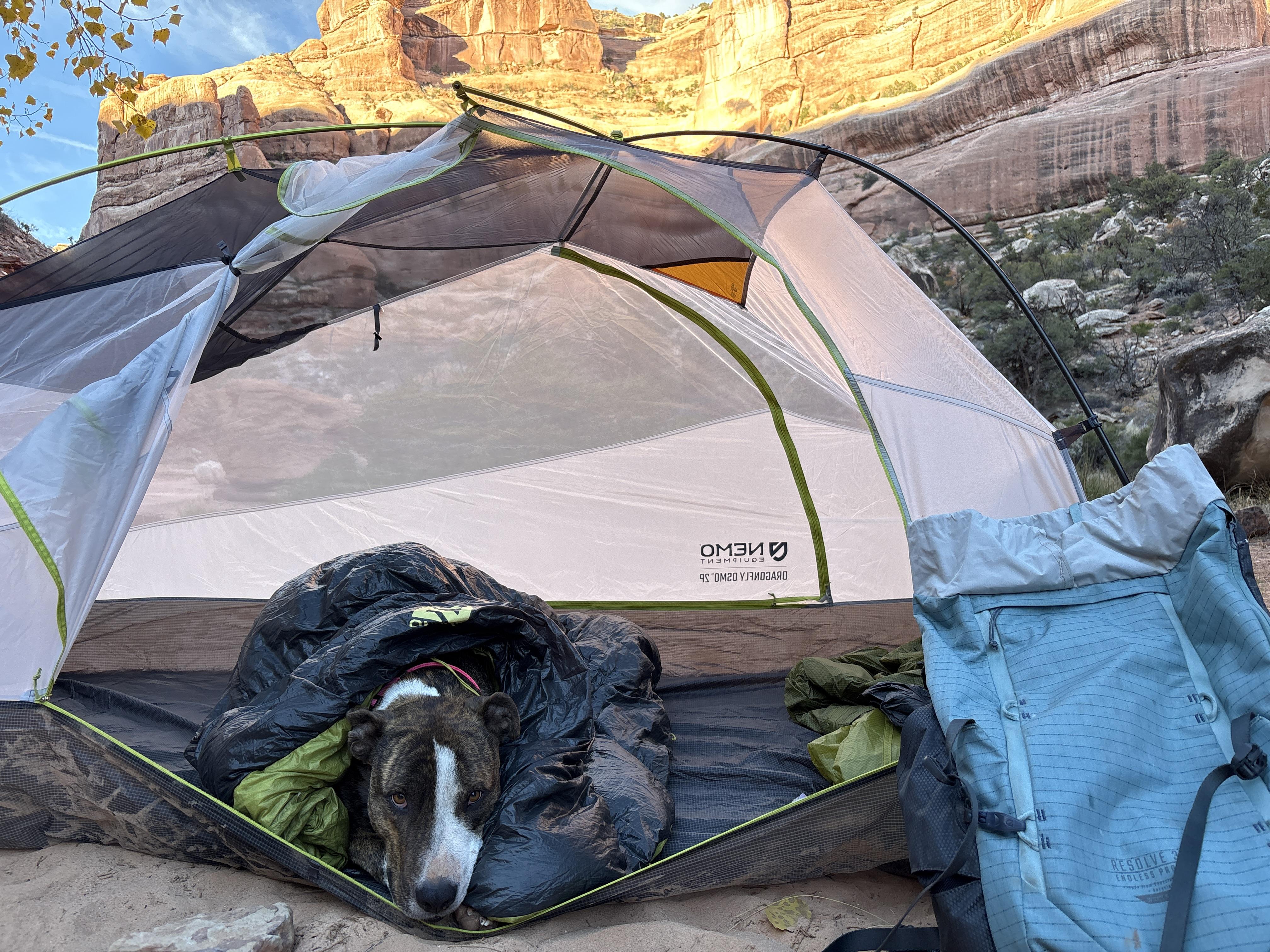 Nemo Resolve 25L rucsac dama Arctic respirabil